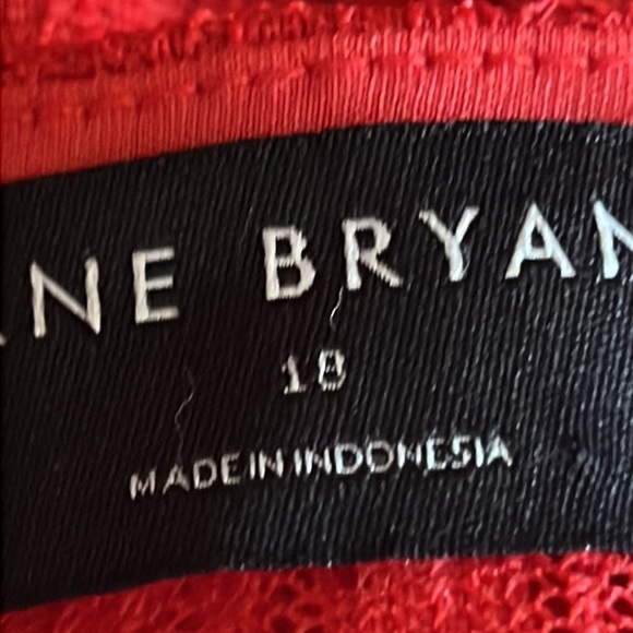 🌼FOR BUNDLE ONLY🌼Lane Bryant Lace Peplum Blouse - Picture 10 of 11